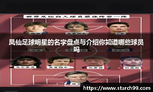 凤仙足球明星的名字盘点与介绍你知道哪些球员吗